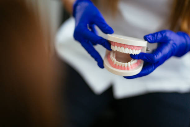 Best Dental Exams and Cleanings  in Miles City, MT